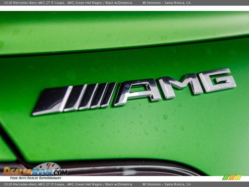 2018 Mercedes-Benz AMG GT R Coupe Logo Photo #26
