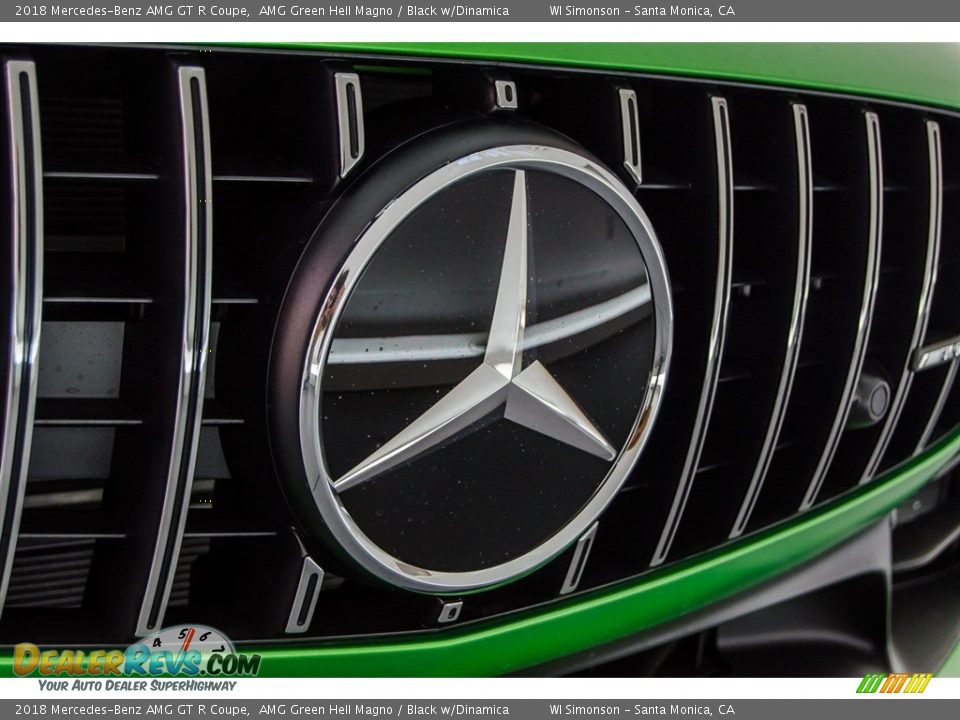 2018 Mercedes-Benz AMG GT R Coupe Logo Photo #33