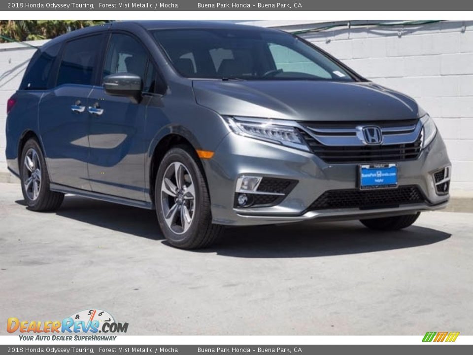 2018 Honda Odyssey Touring Forest Mist Metallic / Mocha Photo #1