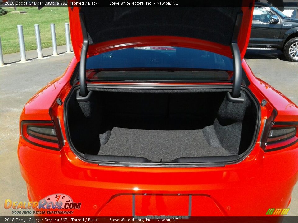 2018 Dodge Charger Daytona 392 Torred / Black Photo #13