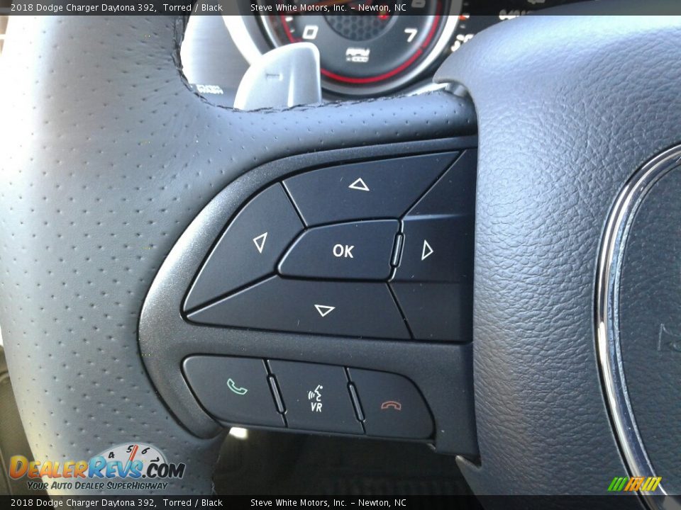 2018 Dodge Charger Daytona 392 Torred / Black Photo #18