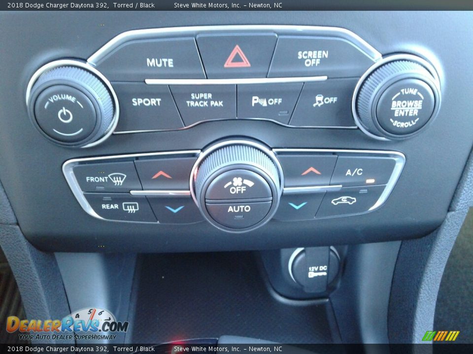 2018 Dodge Charger Daytona 392 Torred / Black Photo #26