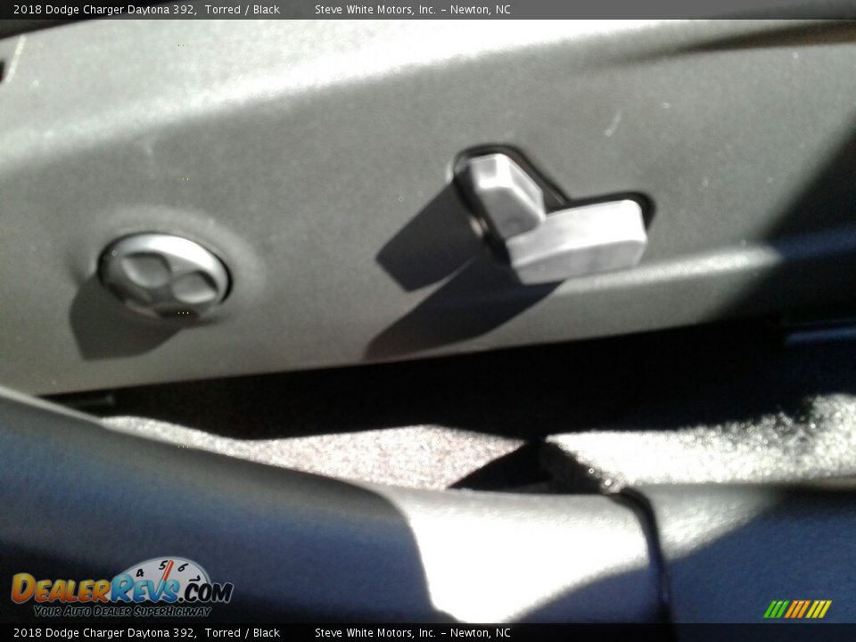 2018 Dodge Charger Daytona 392 Torred / Black Photo #30