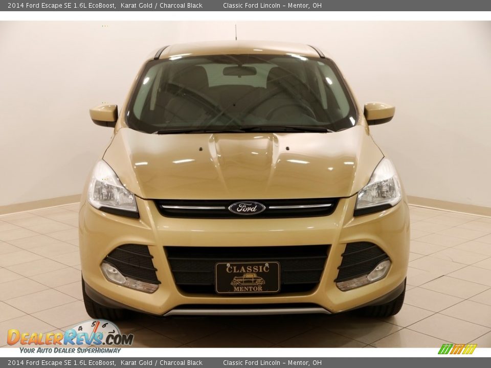 2014 Ford Escape SE 1.6L EcoBoost Karat Gold / Charcoal Black Photo #2