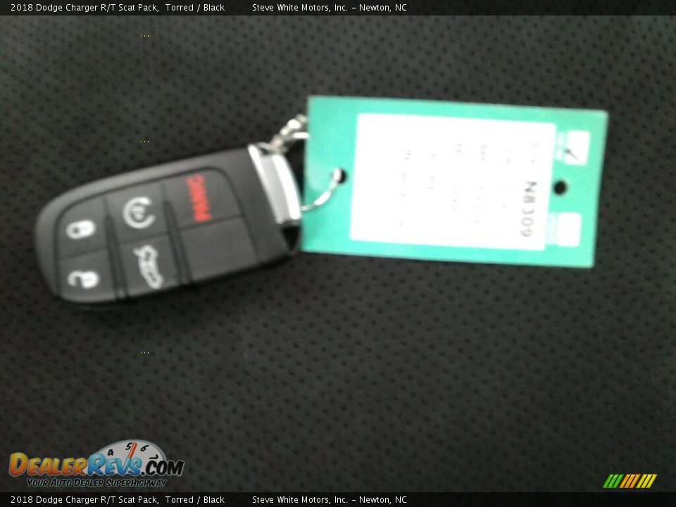 2018 Dodge Charger R/T Scat Pack Torred / Black Photo #36