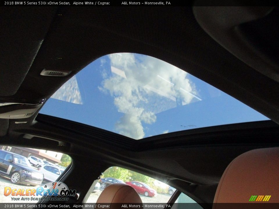 2018 BMW 5 Series 530i xDrive Sedan Alpine White / Cognac Photo #9