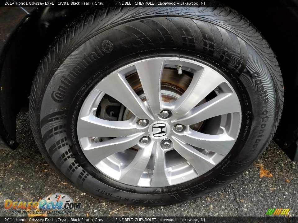 2014 Honda Odyssey EX-L Crystal Black Pearl / Gray Photo #9