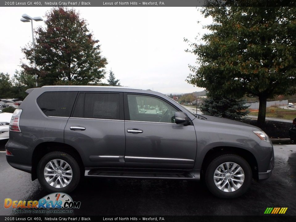 2018 Lexus GX 460 Nebula Gray Pearl / Black Photo #2