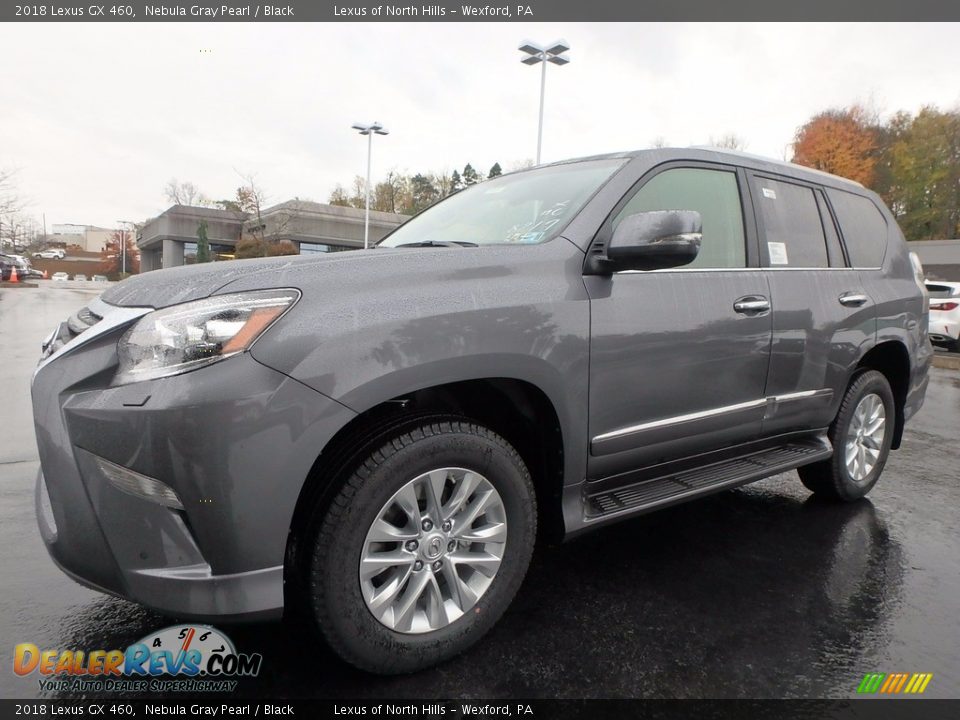 Nebula Gray Pearl 2018 Lexus GX 460 Photo #4