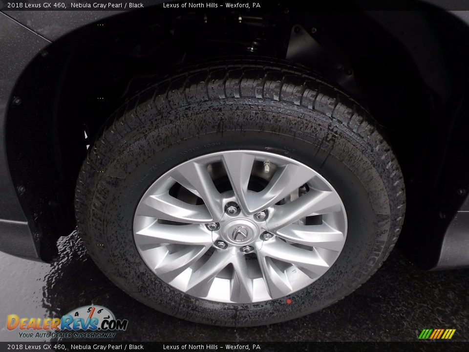 2018 Lexus GX 460 Nebula Gray Pearl / Black Photo #5