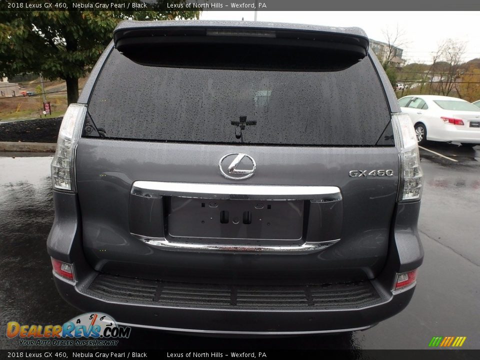 2018 Lexus GX 460 Nebula Gray Pearl / Black Photo #6