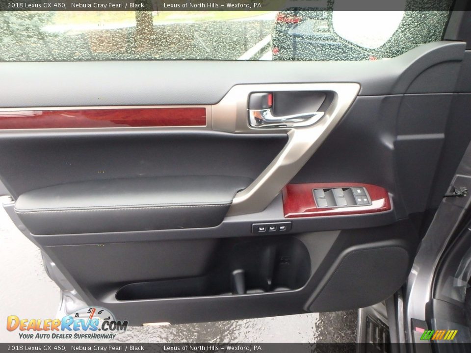 2018 Lexus GX 460 Nebula Gray Pearl / Black Photo #10