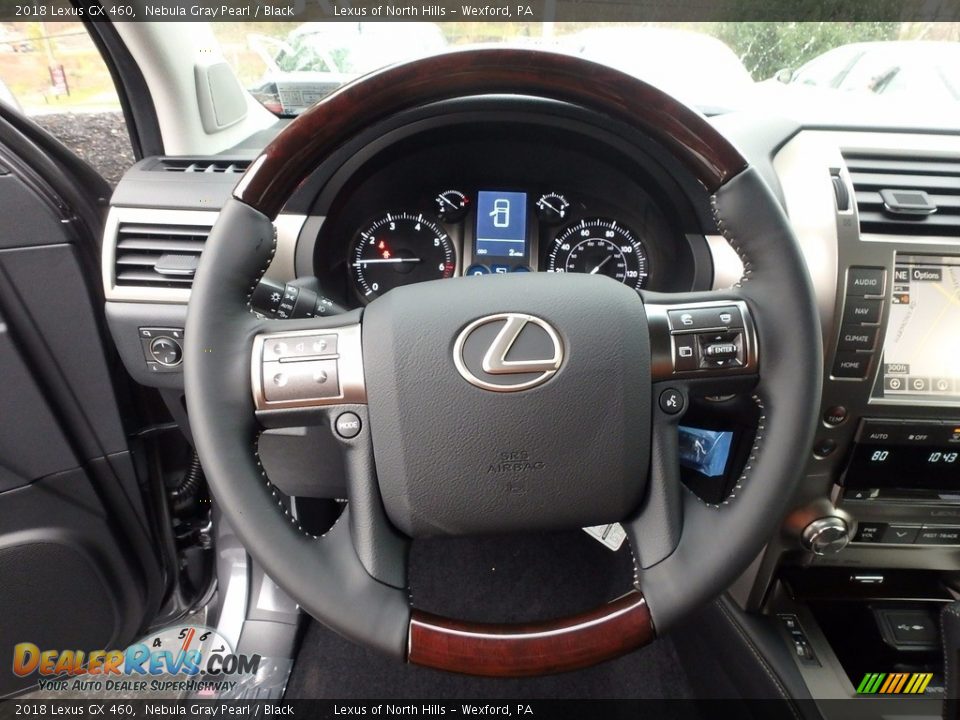 2018 Lexus GX 460 Steering Wheel Photo #12