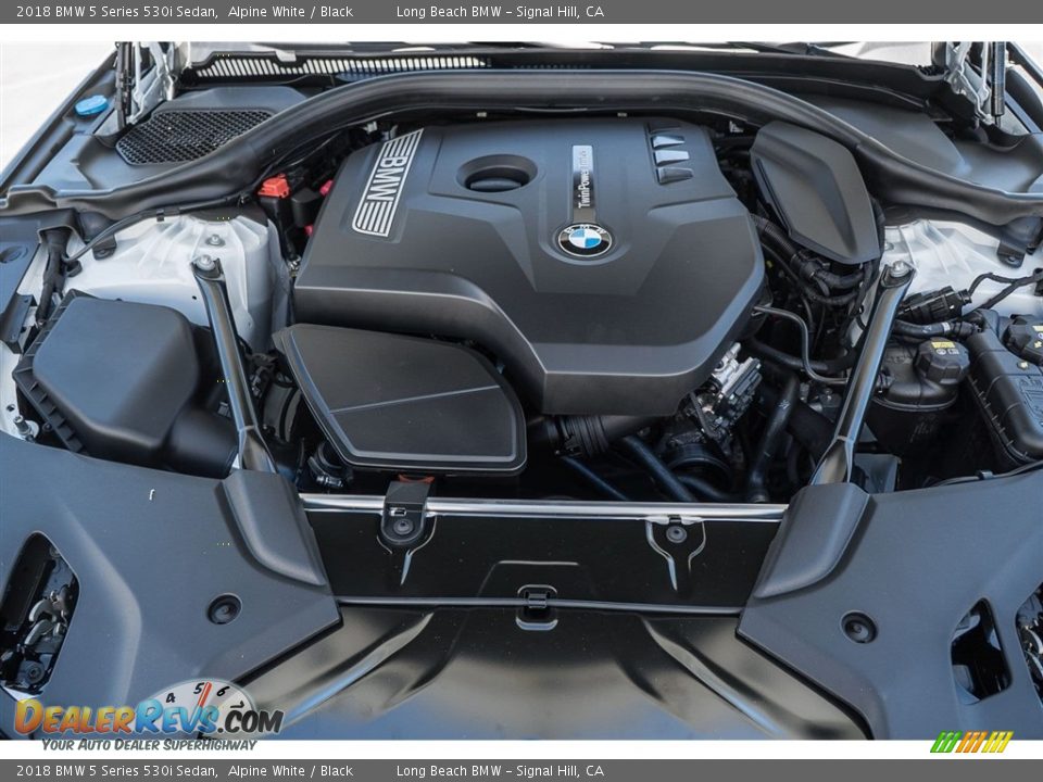 2018 BMW 5 Series 530i Sedan Alpine White / Black Photo #8