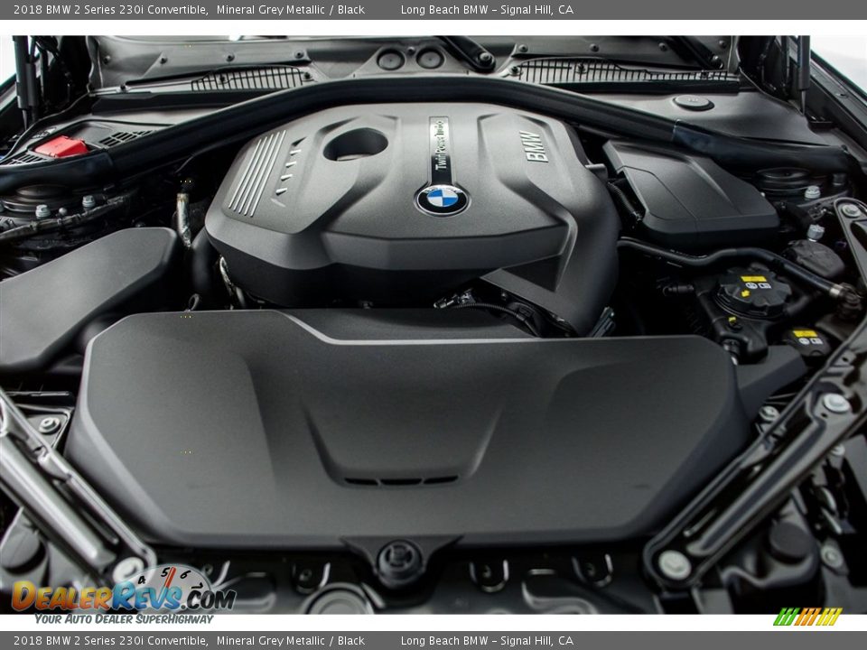 2018 BMW 2 Series 230i Convertible 2.0 Liter DI TwinPower Turbocharged DOHC 16-Valve VVT 4 Cylinder Engine Photo #8