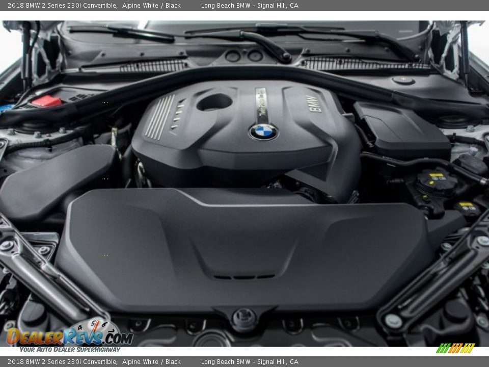 2018 BMW 2 Series 230i Convertible Alpine White / Black Photo #8