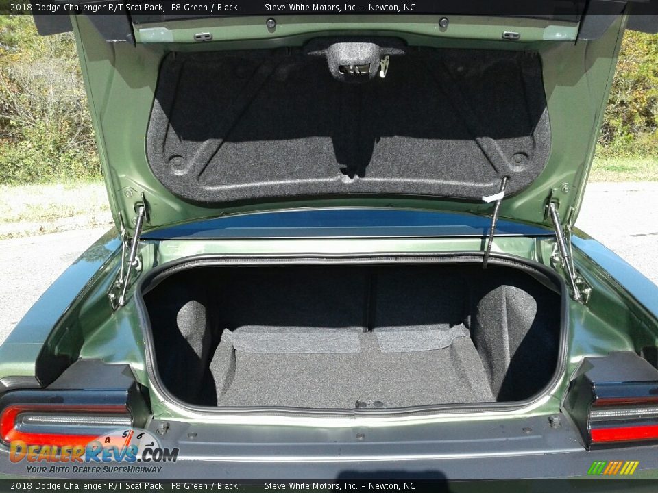 2018 Dodge Challenger R/T Scat Pack F8 Green / Black Photo #11