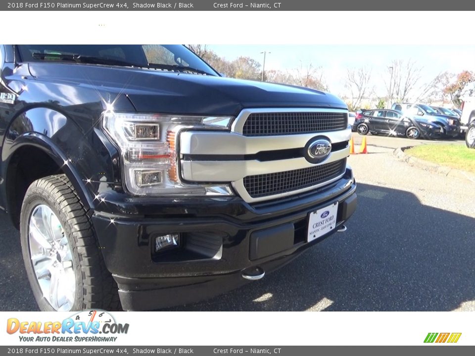 2018 Ford F150 Platinum SuperCrew 4x4 Shadow Black / Black Photo #29