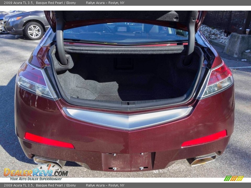 2009 Acura TL 3.5 Basque Red Pearl / Ebony Photo #6