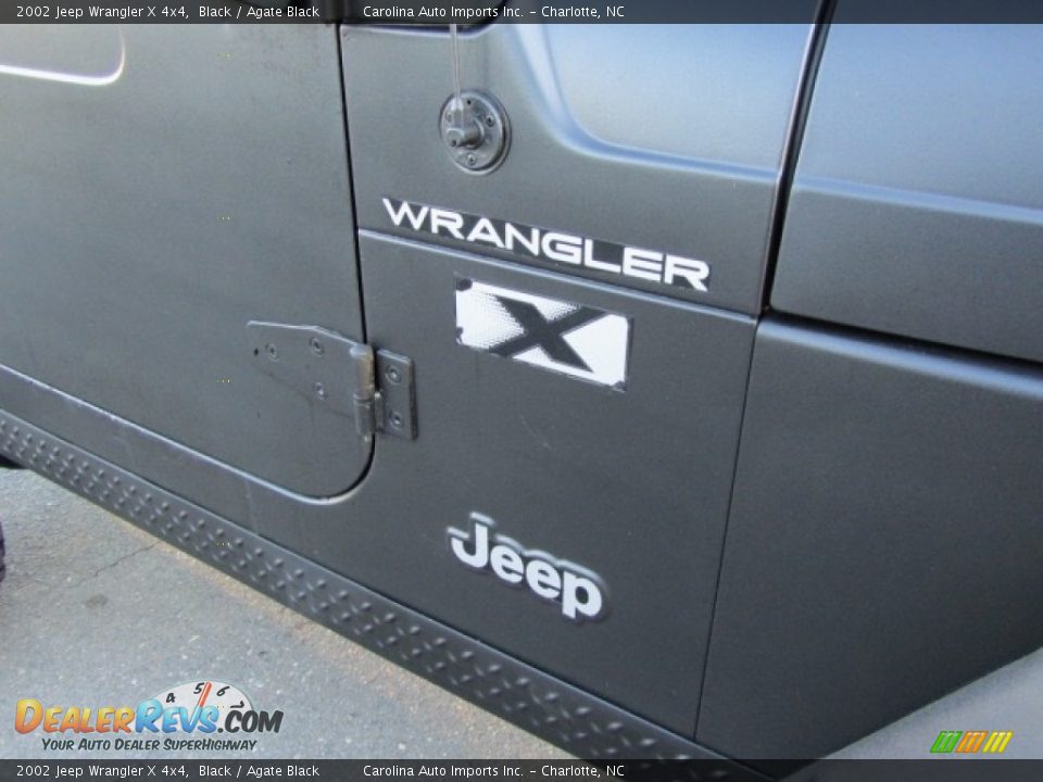 2002 Jeep Wrangler X 4x4 Black / Agate Black Photo #12