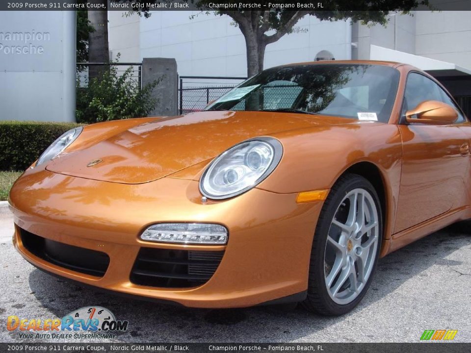 2009 Porsche 911 Carrera Coupe Nordic Gold Metallic / Black Photo #2