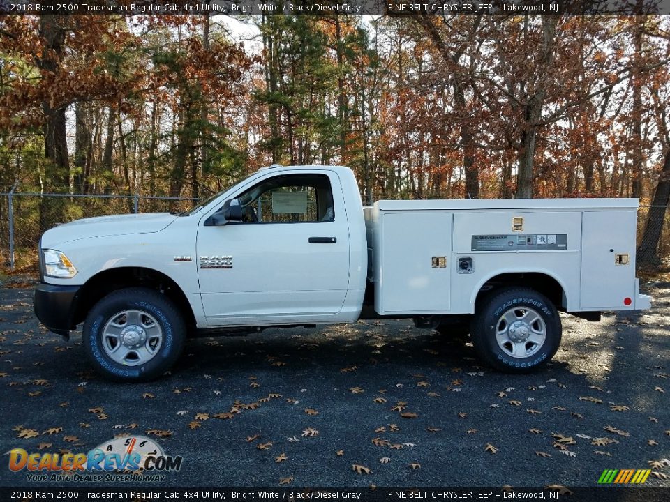 2018 Ram 2500 Tradesman Regular Cab 4x4 Utility Bright White / Black/Diesel Gray Photo #3