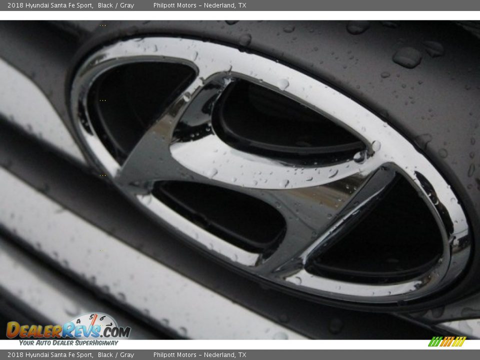 2018 Hyundai Santa Fe Sport Black / Gray Photo #4