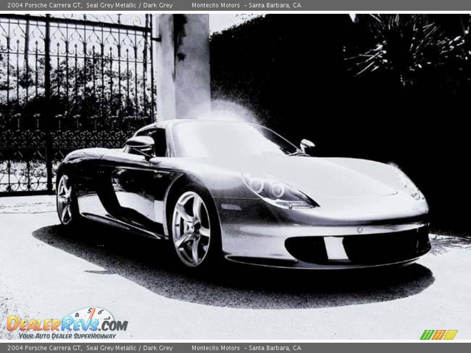 2004 Porsche Carrera GT Seal Grey Metallic / Dark Grey Photo #1