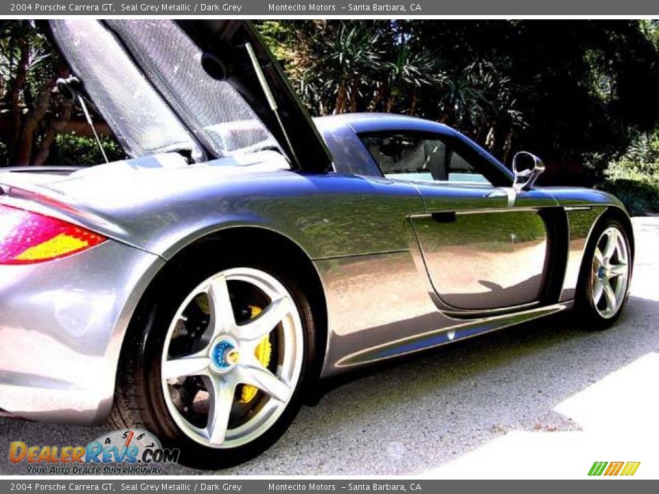 2004 Porsche Carrera GT Seal Grey Metallic / Dark Grey Photo #5