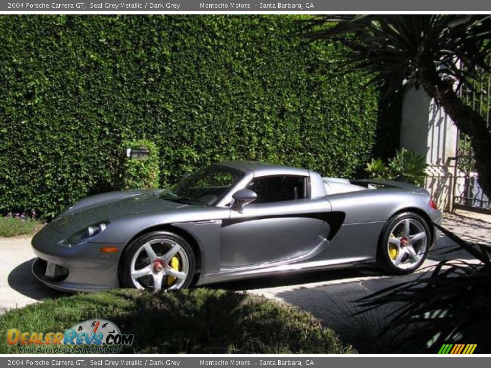 Seal Grey Metallic 2004 Porsche Carrera GT  Photo #18