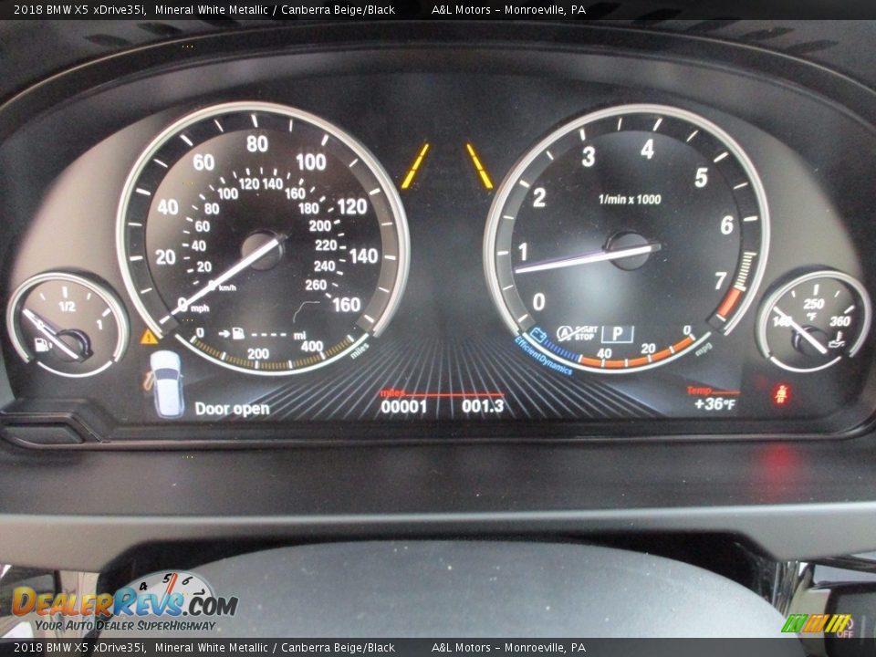 2018 BMW X5 xDrive35i Mineral White Metallic / Canberra Beige/Black Photo #20