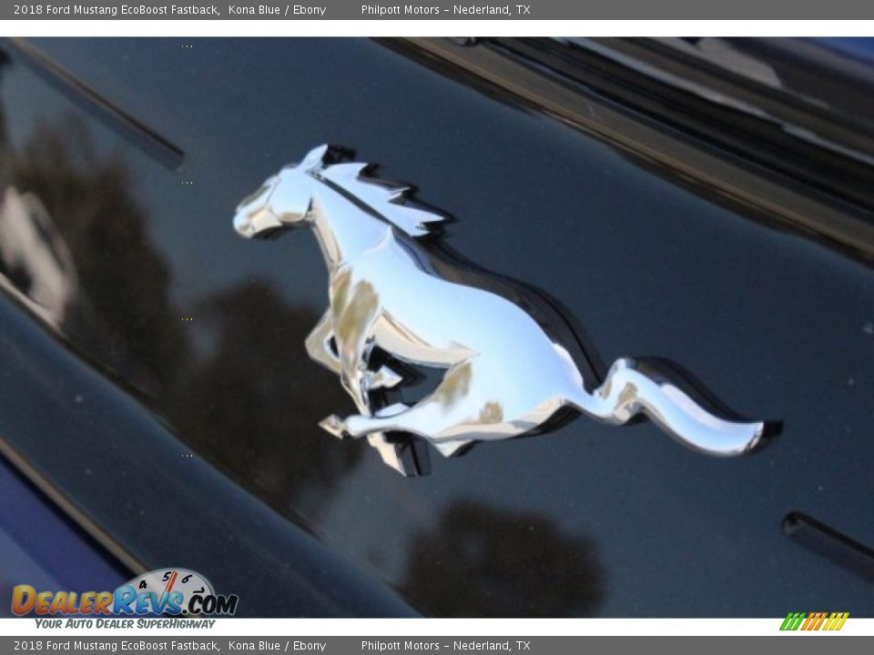 2018 Ford Mustang EcoBoost Fastback Kona Blue / Ebony Photo #9