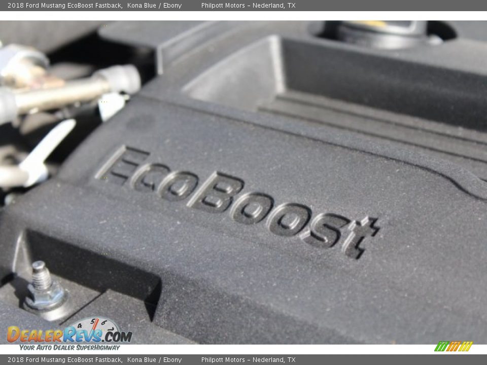 2018 Ford Mustang EcoBoost Fastback Kona Blue / Ebony Photo #23