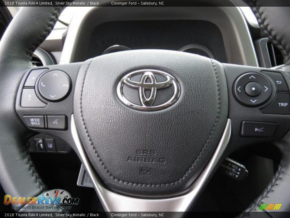 2018 Toyota RAV4 Limited Steering Wheel Photo #17