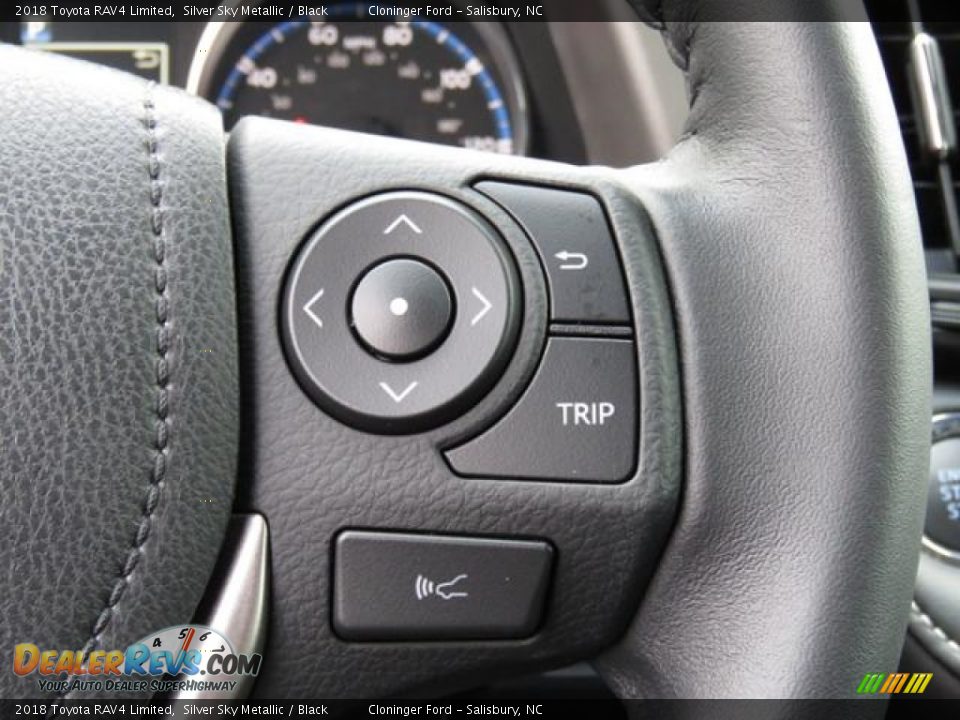 Controls of 2018 Toyota RAV4 Limited Photo #19