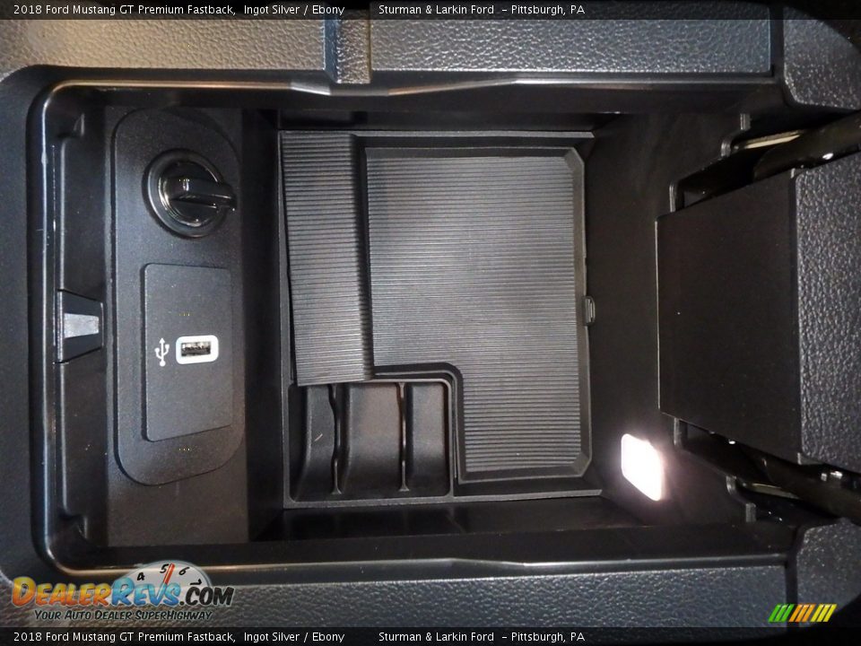 2018 Ford Mustang GT Premium Fastback Ingot Silver / Ebony Photo #15