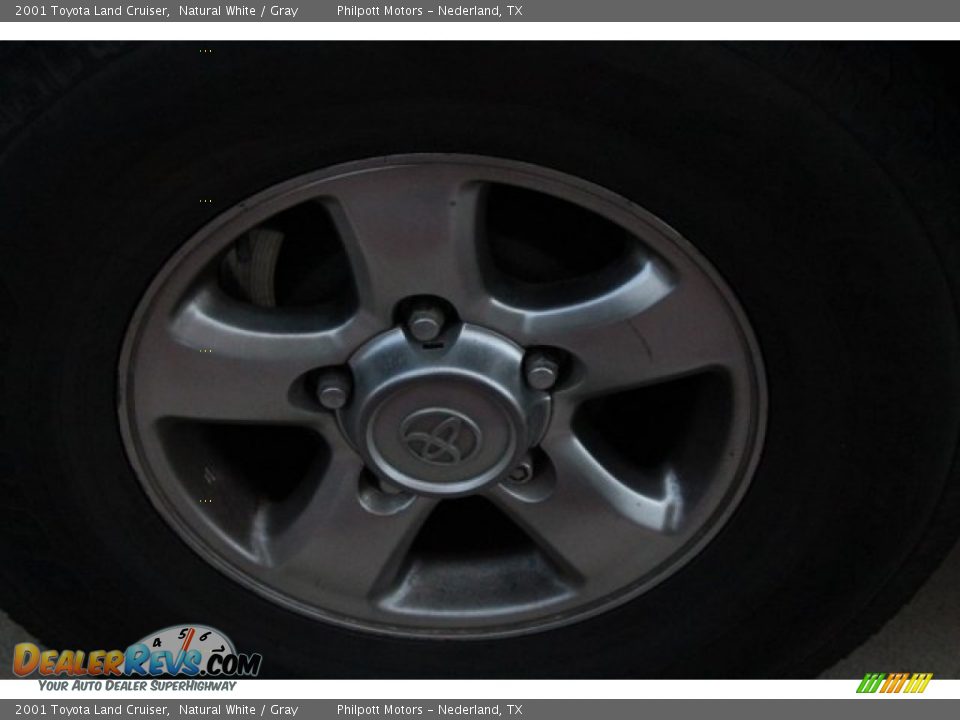 2001 Toyota Land Cruiser Natural White / Gray Photo #10