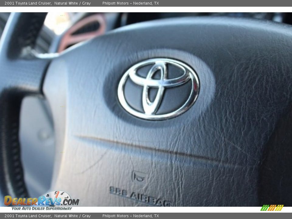 2001 Toyota Land Cruiser Natural White / Gray Photo #17