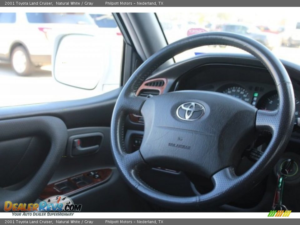 2001 Toyota Land Cruiser Natural White / Gray Photo #22