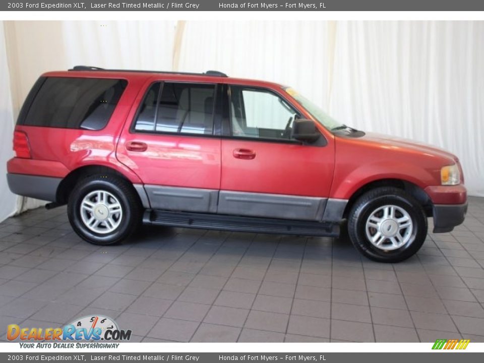 2003 Ford Expedition XLT Laser Red Tinted Metallic / Flint Grey Photo #3