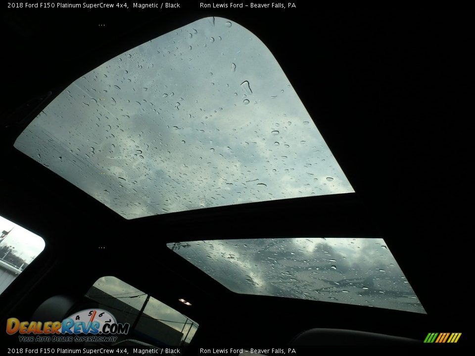 2018 Ford F150 Platinum SuperCrew 4x4 Magnetic / Black Photo #15