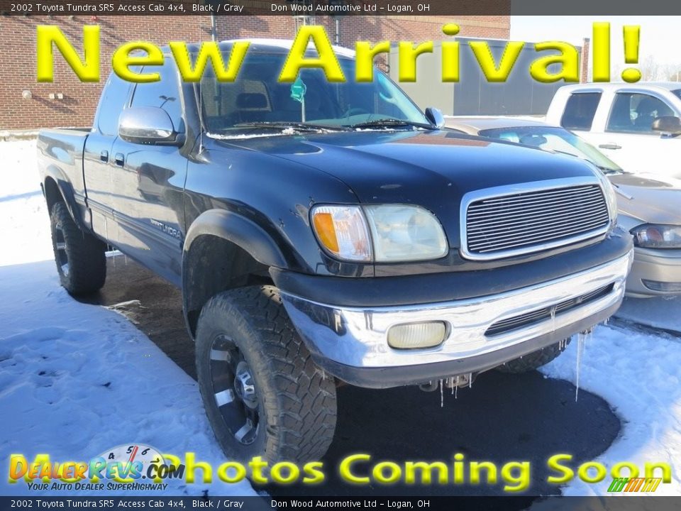 2002 Toyota Tundra SR5 Access Cab 4x4 Black / Gray Photo #1