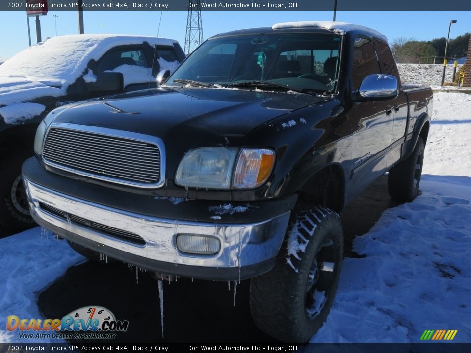 2002 Toyota Tundra SR5 Access Cab 4x4 Black / Gray Photo #3