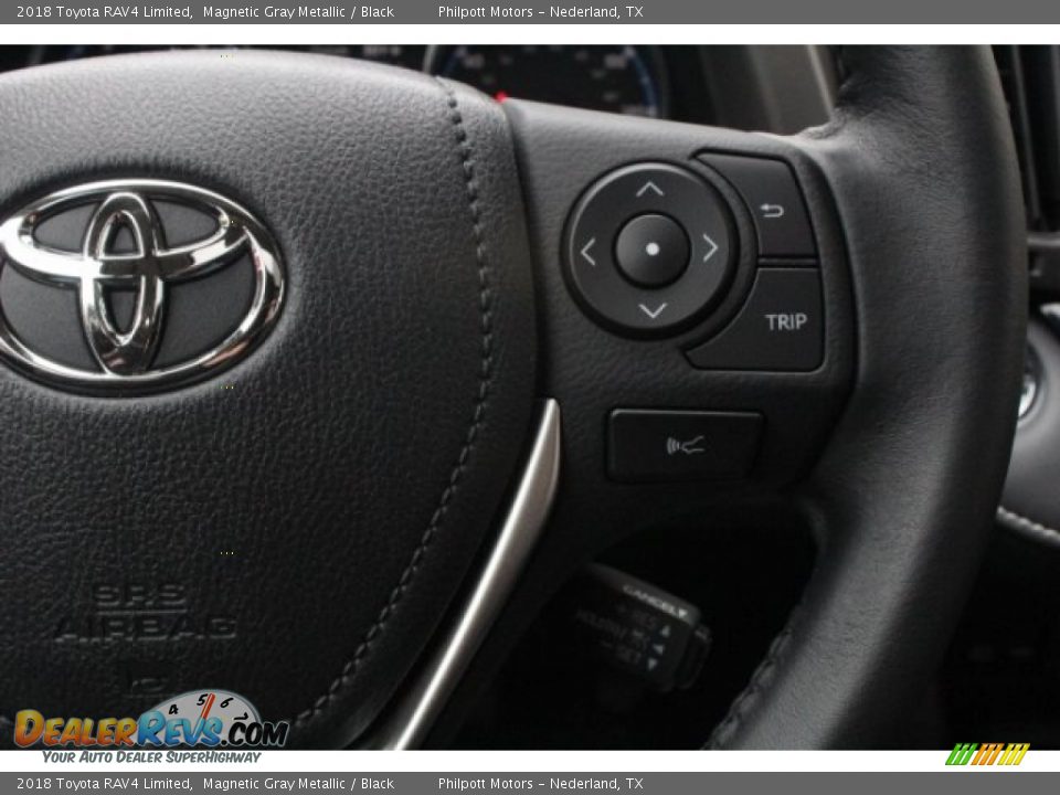 2018 Toyota RAV4 Limited Magnetic Gray Metallic / Black Photo #20