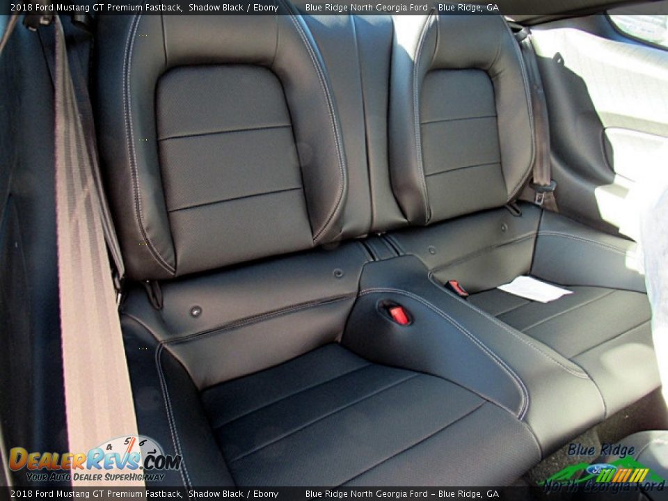 2018 Ford Mustang GT Premium Fastback Shadow Black / Ebony Photo #12