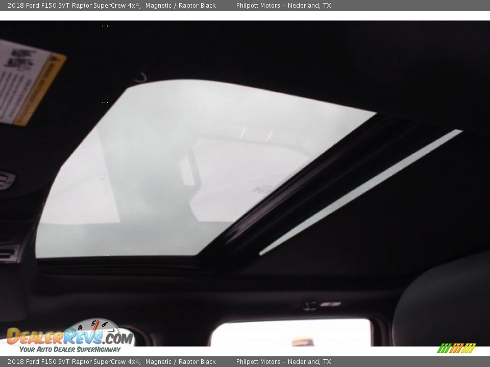 2018 Ford F150 SVT Raptor SuperCrew 4x4 Magnetic / Raptor Black Photo #14