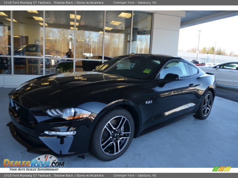 2018 Ford Mustang GT Fastback Shadow Black / Ebony w/Alcantara Photo #3