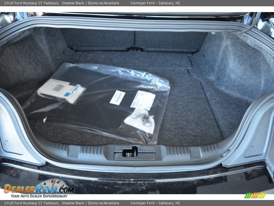 2018 Ford Mustang GT Fastback Shadow Black / Ebony w/Alcantara Photo #8