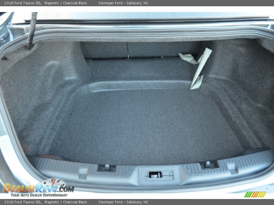 2018 Ford Taurus SEL Magnetic / Charcoal Black Photo #9