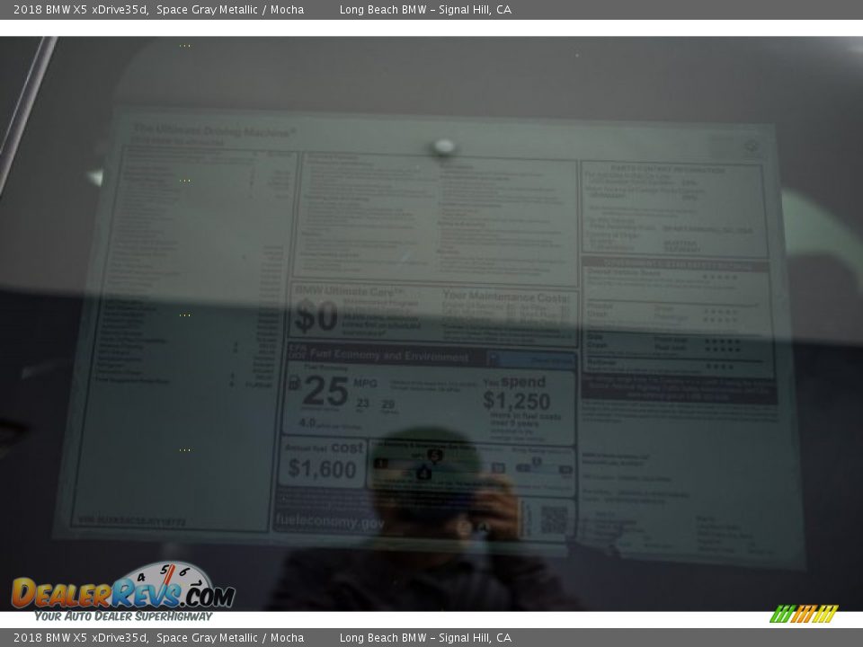 2018 BMW X5 xDrive35d Space Gray Metallic / Mocha Photo #10